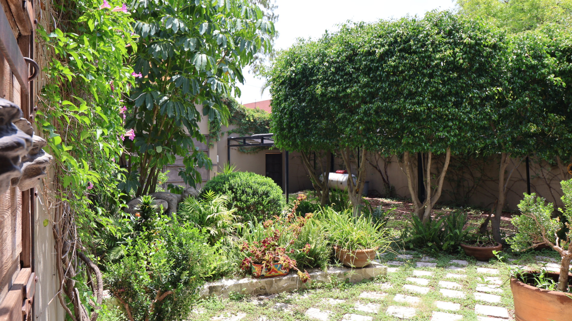 K1IMG_7196 Casa Gibson